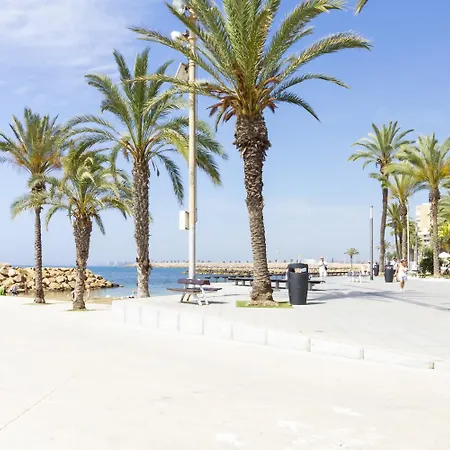 Pink La Sal * Торрев'єха